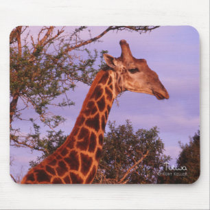 Tutwa, giraffe in Tetswana language, Mousepad