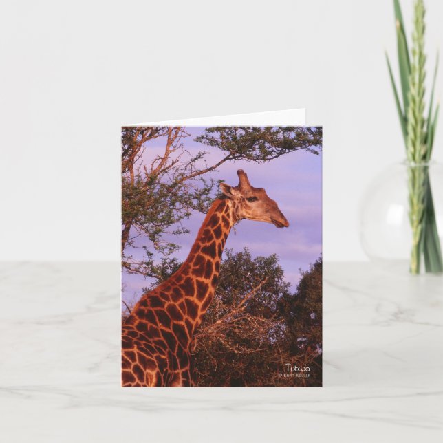 Tutwa, Giraffe in Tetswana, Note Card (Front)