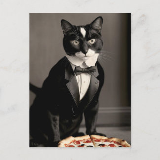 tuxedo cat and pizza postcard