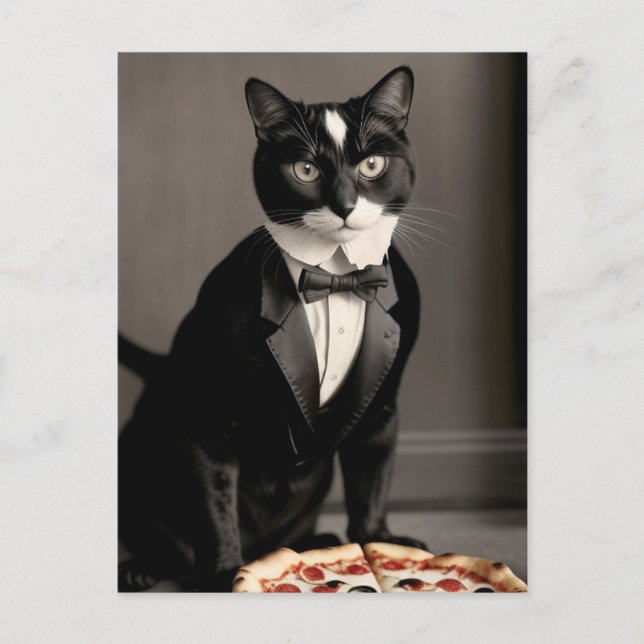 tuxedo cat and pizza postcard (Front)