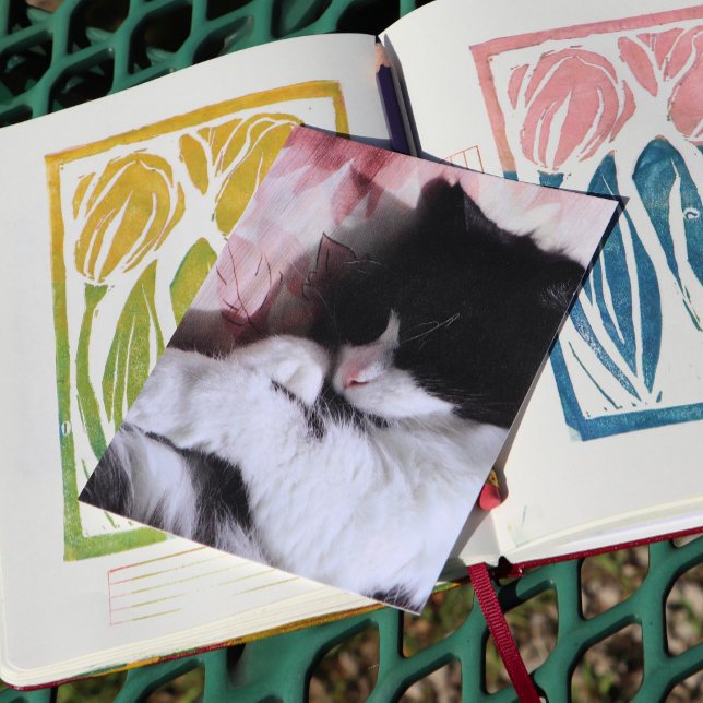 Tuxedo Cat Art Cute Pink Nose Kitty Cats Art Postcard (Creator Uploaded)