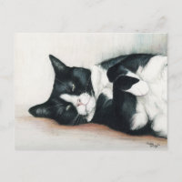"Tuxedo Cat" Art Postcard