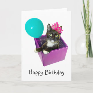 Tuxedo Cat Birthday Card