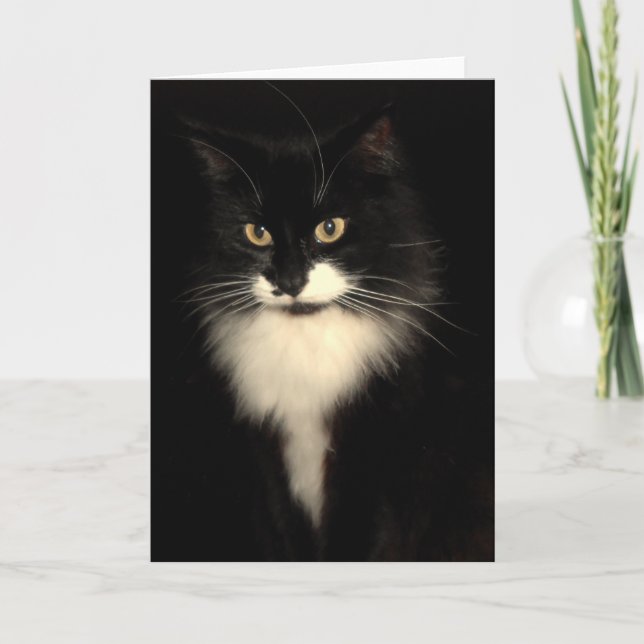 Tuxedo Cat Card (Front)