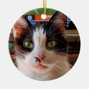 Tuxedo cat ceramic tree decoration