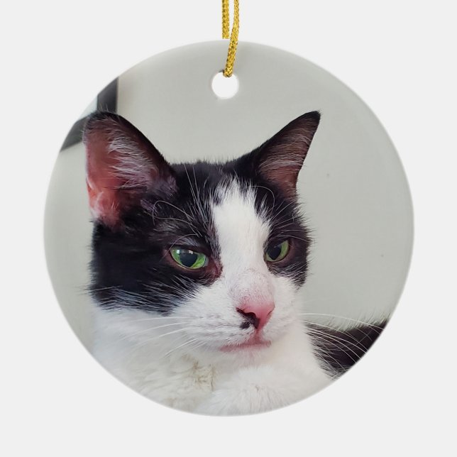 Tuxedo Cat Ceramic Tree Decoration (Front)