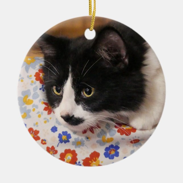 Tuxedo Cat  Ceramic Tree Decoration (Front)