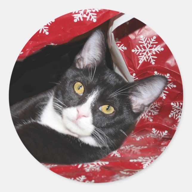 Tuxedo cat Christmas Classic Round Sticker (Front)