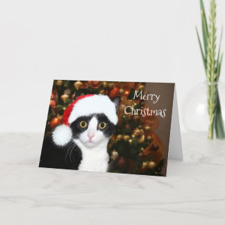 Tuxedo Cat Christmas Holiday Card