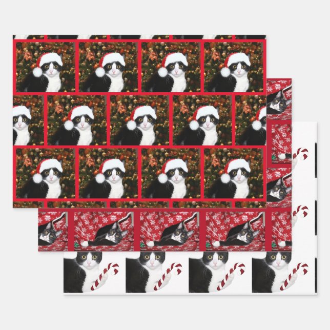 Tuxedo cat Christmas Wrapping Paper Sheet (Set)