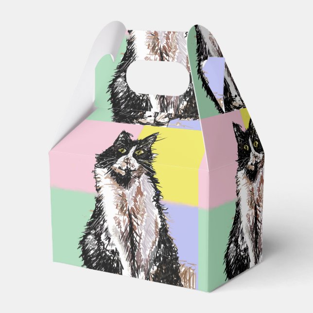 Tuxedo Cat Cute Cats Black White Pastel Rainbow Favour Box (Front Side)