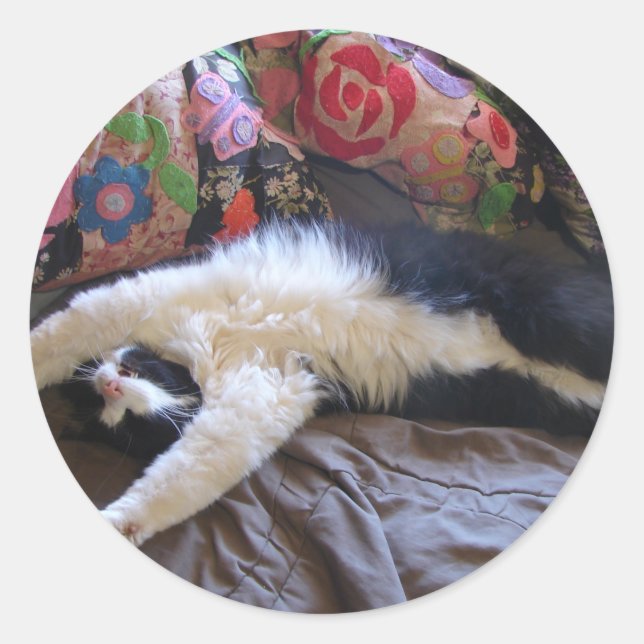 Tuxedo Cat Cute doing a Mexican Wave Postcard Classic Round Sticker (Front)