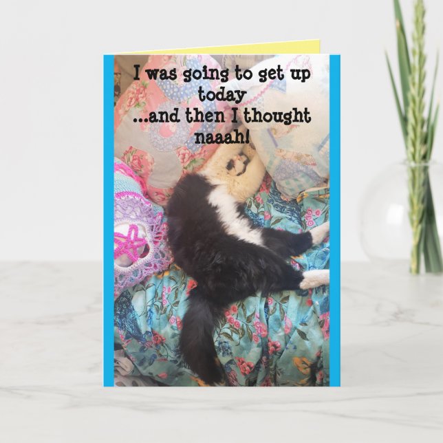 Tuxedo Cat Cute Funny Sleeping Cats Birthday Card (Front)