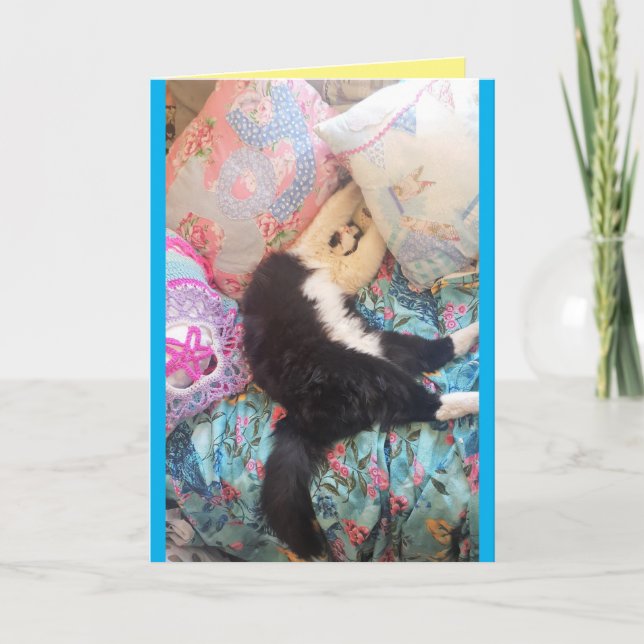 Tuxedo Cat Cute Funny Sleeping Cats Birthday Card (Front)