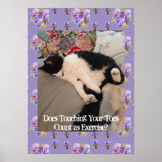 Tuxedo Cat Cute Funny Touching Toes Cats Poster (Front)