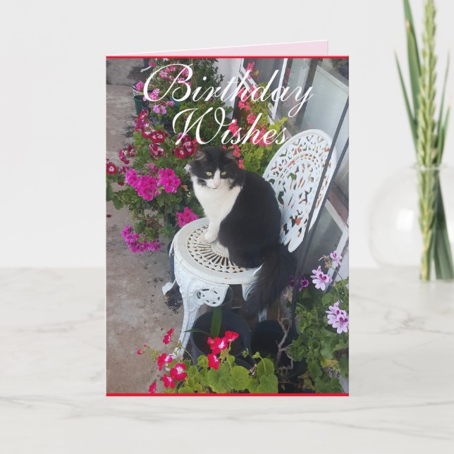 Tuxedo Cat Cute Pretty Flowers Cats Birthday Card (Front)