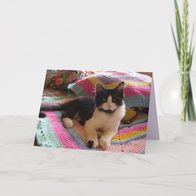 Tuxedo Cat Cute with Pretty Crochet Rug Card (Front)