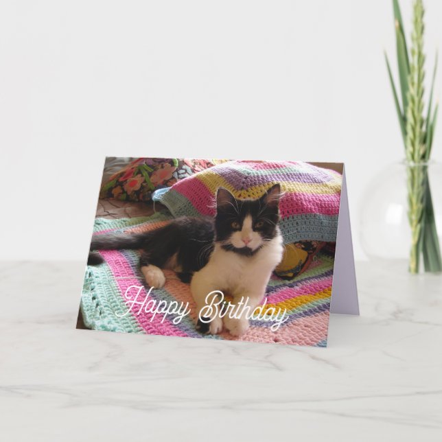 Tuxedo Cat Cute with Pretty Crochet Rug Card (Front)