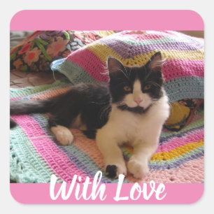 Tuxedo Cat Cute with Pretty Crochet Rug Postcard Square Sticker