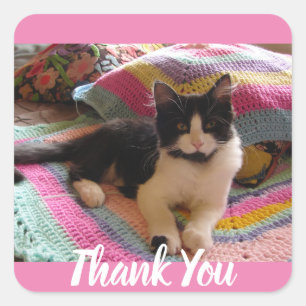 Tuxedo Cat Cute with Pretty Crochet Rug Thank You Square Sticker