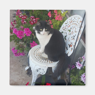 Tuxedo Cat Cute with Pretty Flowers Black Cats Magnet