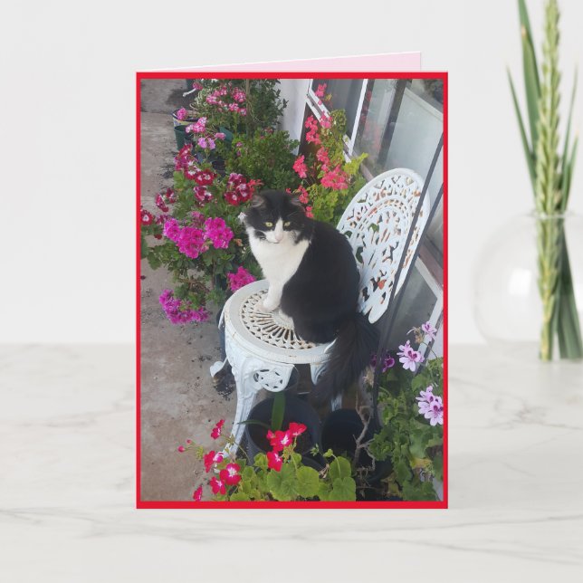 Tuxedo Cat Cute with Pretty Flowers Thank You Card (Front)
