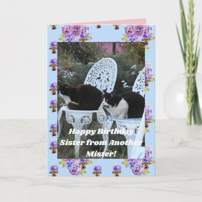 Tuxedo Cat Funny Birthday Sister Mister Cats Card (Front)