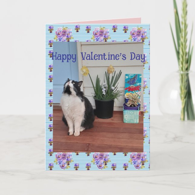 Tuxedo Cat Funny Cute Cats Valentines Day Blue Card (Front)