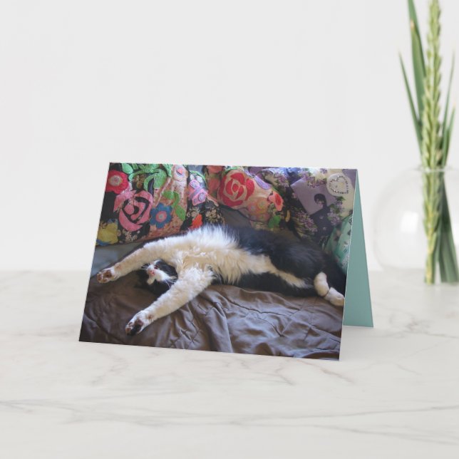 Tuxedo Cat Funny Mexican Wave Cute Birthday Card (Front)
