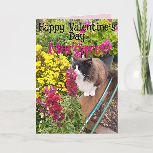Tuxedo Cat Funny Red Yellow Valentines Wifes Name Card (Front)