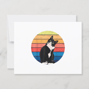 Tuxedo Cat Gift Retro Colours for Animal Lovers RSVP Card
