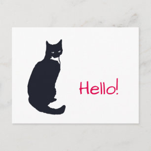 Tuxedo Cat "Hello!" Postcard
