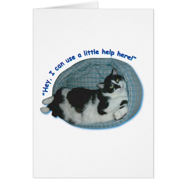 Tuxedo Cat Humour (Front)