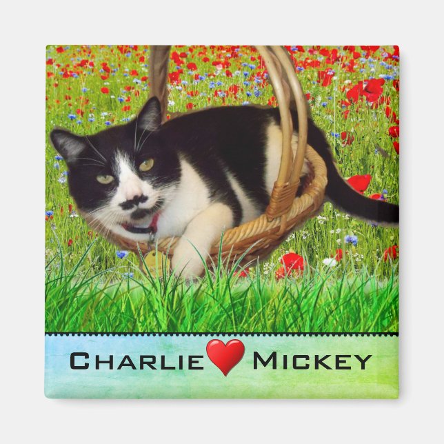 Tuxedo Cat in Basket Fridge  Magnet (Front)