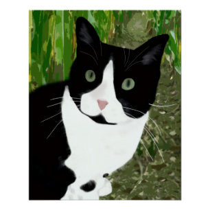 Tuxedo Cat in the Cornfield Poster