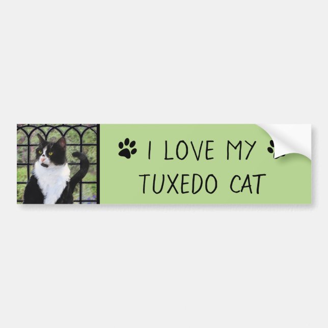 Tuxedo Cat in Window Painting Original Animal Art Bumper Sticker (Front)