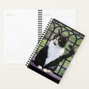 Tuxedo Cat in Window Painting Original Animal Art Planner