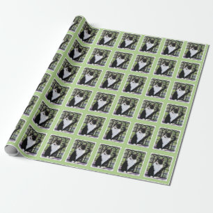Tuxedo Cat in Window Painting Original Animal Art Wrapping Paper