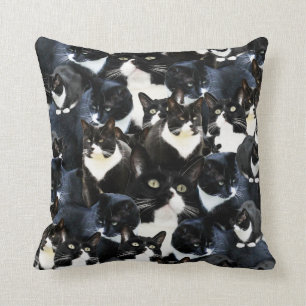 Tuxedo Cat Madness Cushion