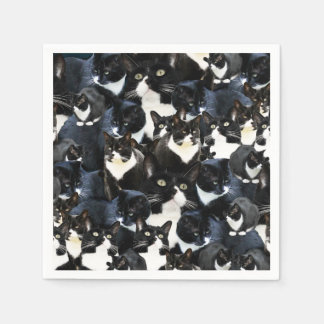 Tuxedo Cat Madness Napkin