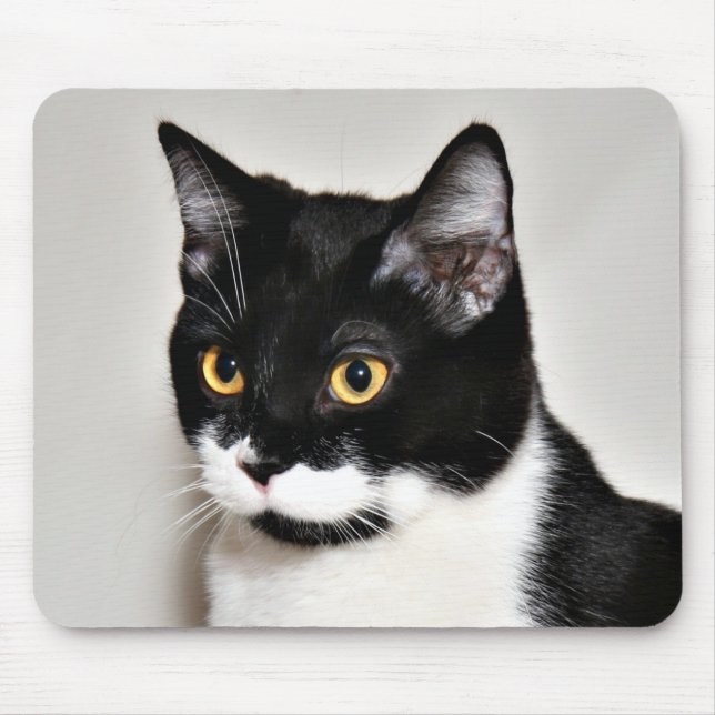 Tuxedo cat mouse mat (Front)