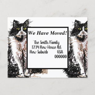 Tuxedo Cat New Address Postcard, We Are Moving  Postcard