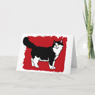 'Tuxedo' Cat Notecard