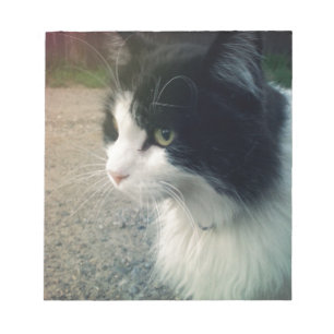 Tuxedo Cat Notepad