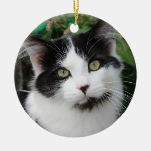 Tuxedo cat ornament