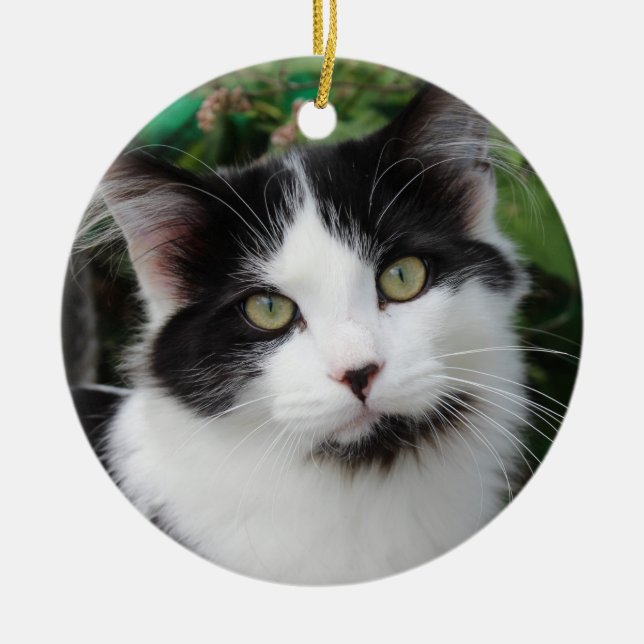 Tuxedo cat ornament (Front)