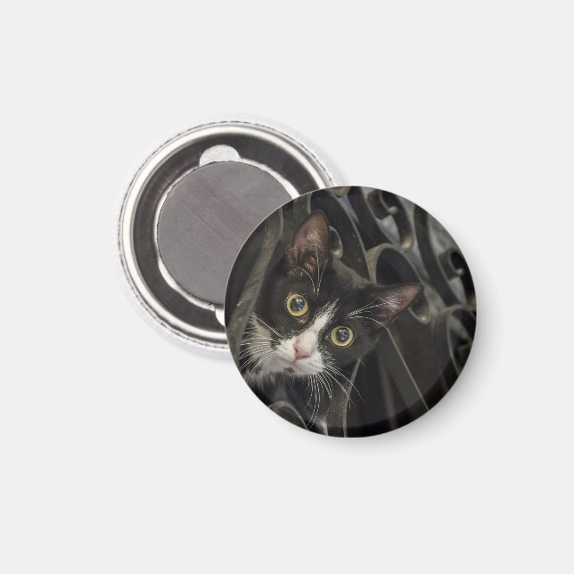 Tuxedo Cat Peaking through Wrought Iron Fence Magnet (Front/Back)