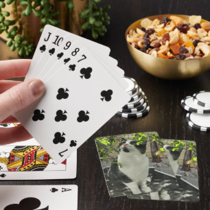 Tuxedo Cat Playing Cards