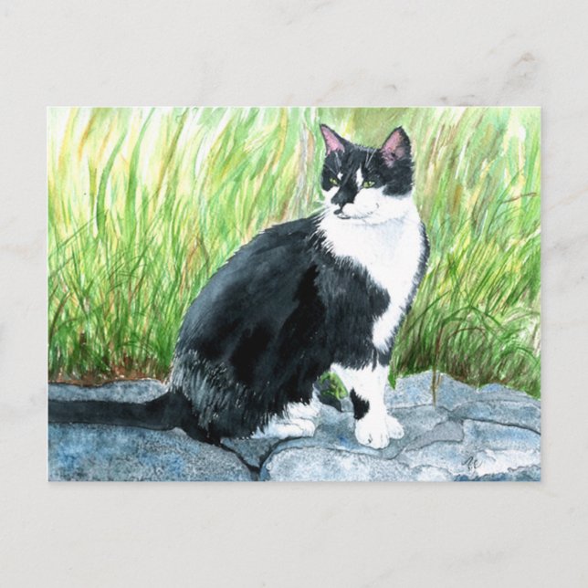 Tuxedo Cat Postcard (Front)