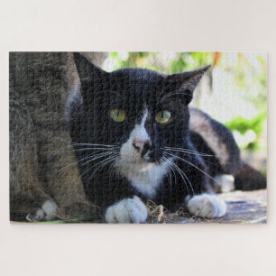 tuxedo cat puzzle